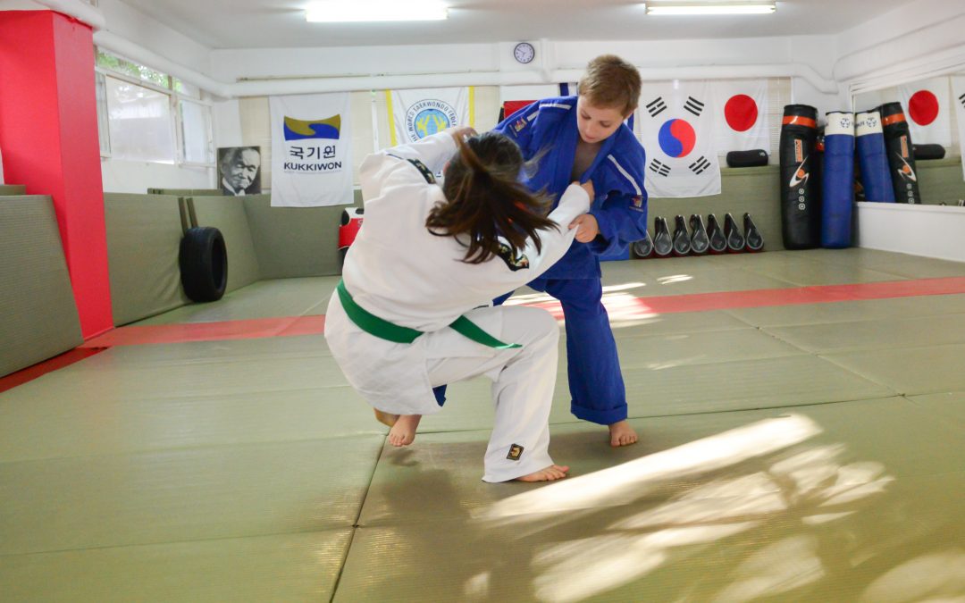 Πολεμικές Τέχνες: Η Συνύπαρξη της Δύναμης και της Αρμονίας